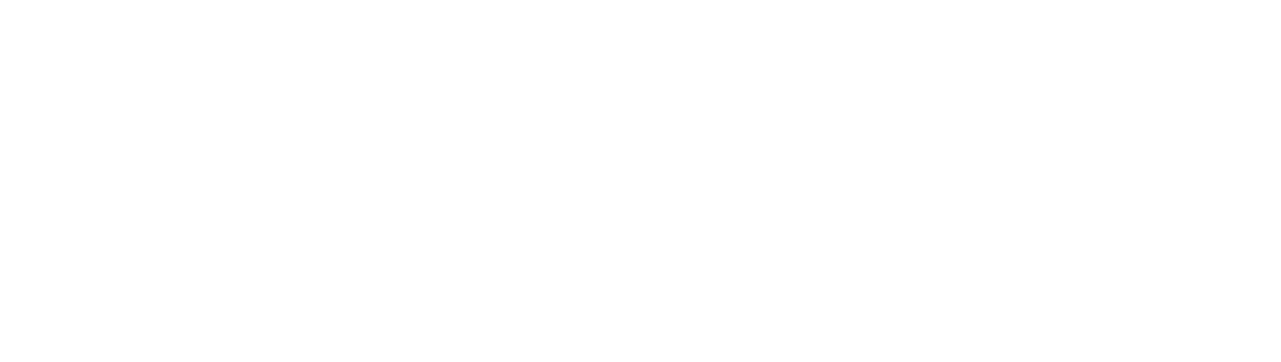 ESTATE INVESYMENT